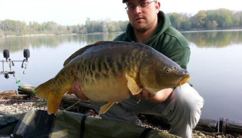 A carp from Brocard Large, Swim 9, Apr 2014