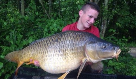 A carp from Brocard Large, Jul 2016