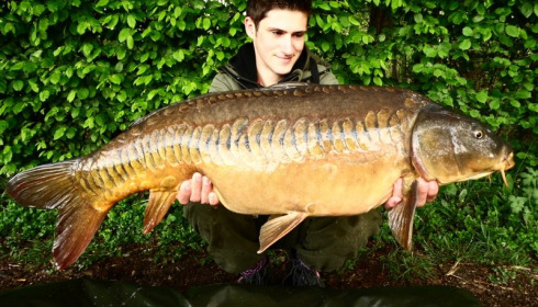 A carp from Brocard Large, Swim 7, May 2015