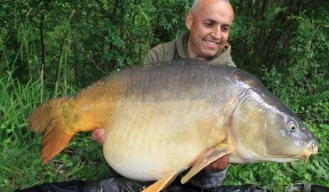 A carp from Brocard Large, Swim 7, Apr 2014