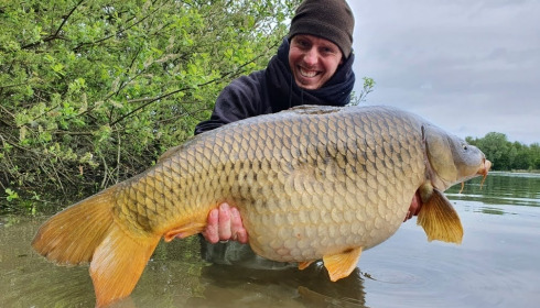 A carp from Brocard Large, May 2021