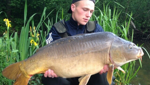 A carp from Brocard Large, Swim 10, Jun 2015