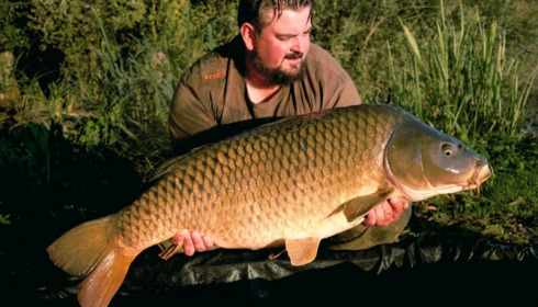 A 34 lb 12 oz carp from Brocard Large, Andy Gilbert, Sep 2016