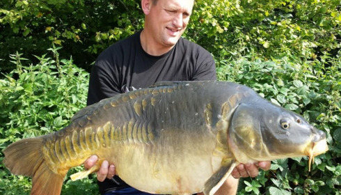 A carp from Brocard Large, Sep 2014