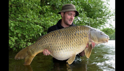 A carp from Brocard Large, May 2018