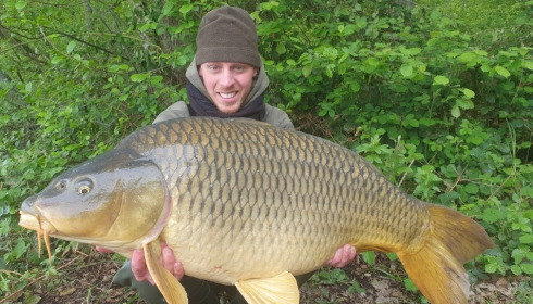A carp from Brocard Large, May 2021