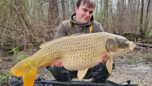 A carp from Brocard Large, Apr 2023