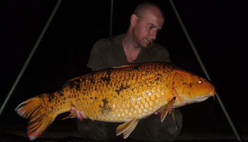 A fish from Brocard Large, May 2022