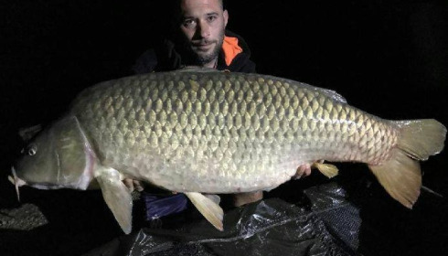A carp from Brocard Large, Aug 2017