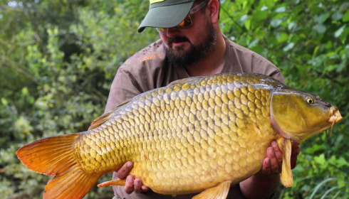 A carp from Brocard Large, Andy Gilbert, Aug 2017
