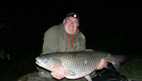 A carp from Brocard Large, Jun 2017