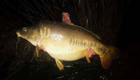 A carp from Brocard Large, Apr 2019