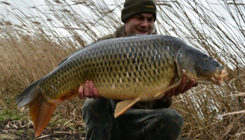 A carp from Brocard Large, Feb 2016