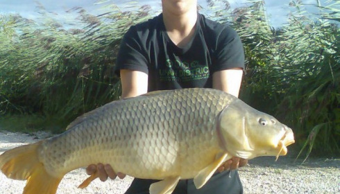 A carp from Brocard Large, Swim 6, Sep 2015