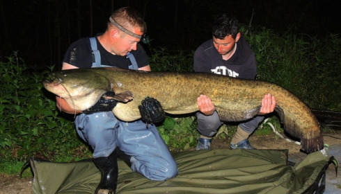 A 96 lb 8 oz catfish from Brocard Large, Swim 5, Apr 2014