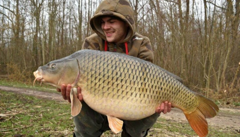 A carp from Brocard Large, Feb 2016