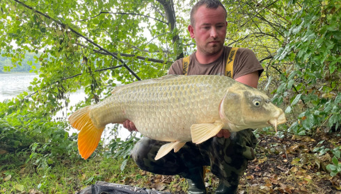 A carp from Brocard Large, Sep 2021