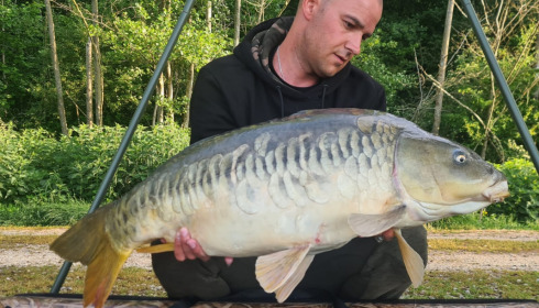 A carp from Brocard Large, May 2022