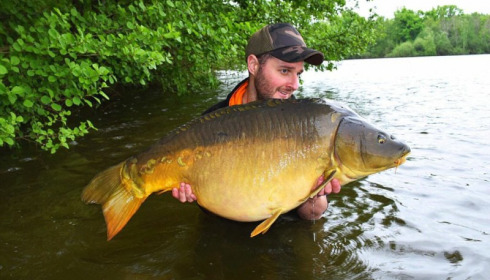 A carp from Brocard Large, May 2018