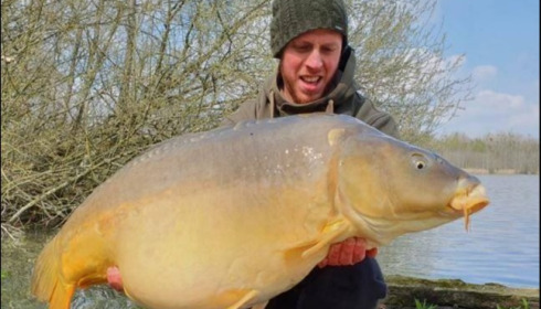 A carp from Brocard Large, Apr 2019