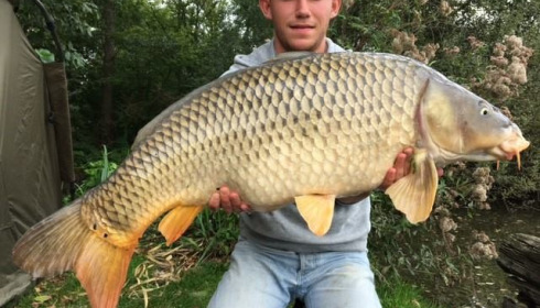 A carp from Brocard Large, Swim 10, Sep 2017