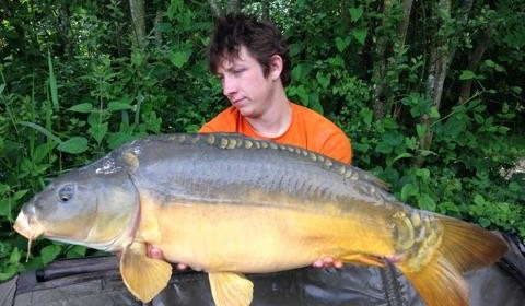A carp from Brocard Large, Jul 2016