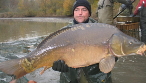 A carp from Brocard Large, Nov 2012