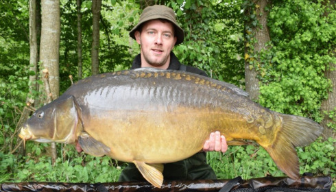 A carp from Brocard Large, May 2018