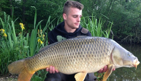 A carp from Brocard Large, Swim 10, Jun 2015
