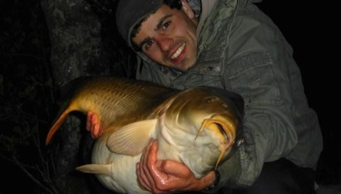 A 52 lb 8 oz carp from Brocard Large, Swim 10, May 2014