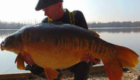 A carp from Brocard Large, Swim 8, Mar 2016