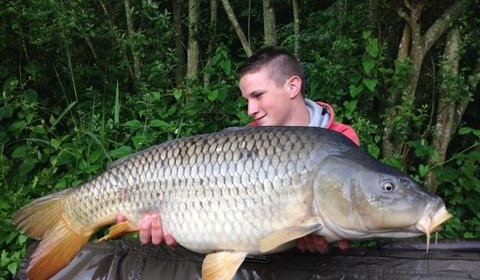 A carp from Brocard Large, Jul 2016