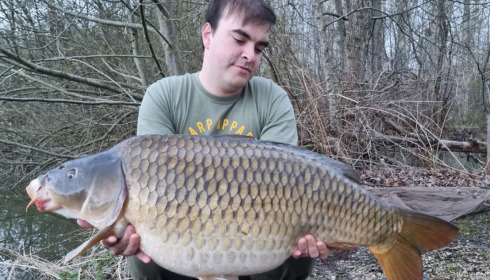 A carp from Brocard Large, Apr 2023