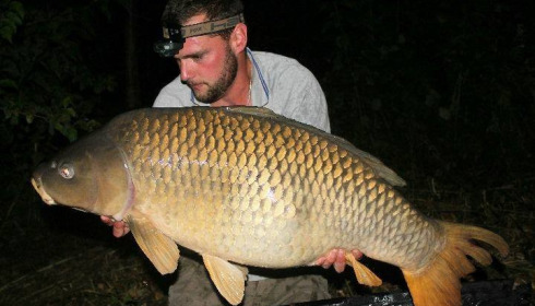 A carp from Brocard Large, Jun 2017