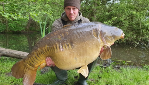 A carp from Brocard Large, May 2021