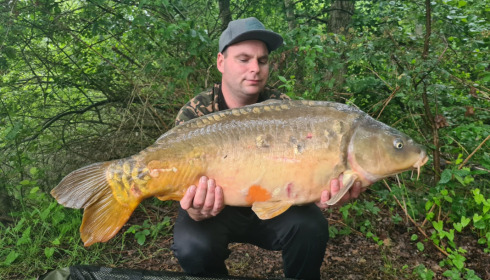 A carp from Brocard Large, Jun 2022