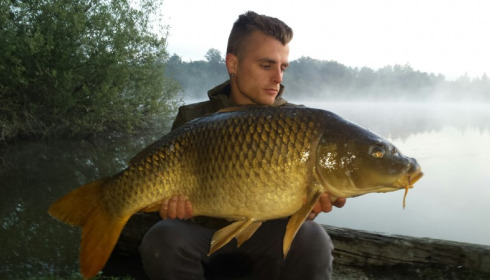 A carp from Brocard Large, Swim 10, Jun 2015