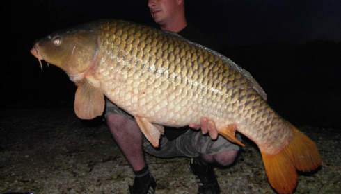 A 43 lb 6 oz carp from Brocard Large, Aug 2013
