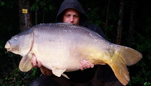 A carp from Brocard Large, Oct 2014