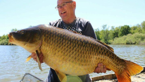 A carp from Brocard Large, Swim 12, May 2018