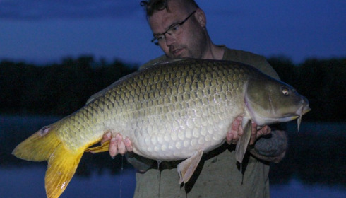 A 38 lb carp from Brocard Large, Stewart Cliff, May 2018