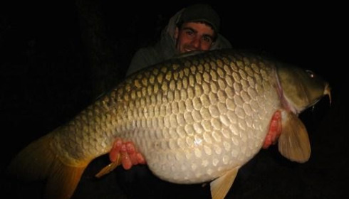 A 52 lb 8 oz carp from Brocard Large, Swim 10, May 2014