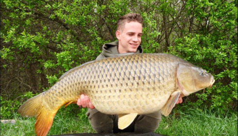 A carp from Brocard Large, Apr 2019