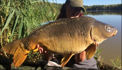 A carp from Brocard Large, Sep 2018