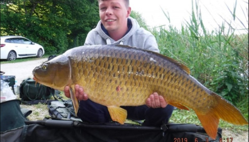 A carp from Brocard Large, Jul 2019