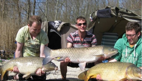 A carp from Brocard Large, Triple take! - Swim 5, Apr 2015