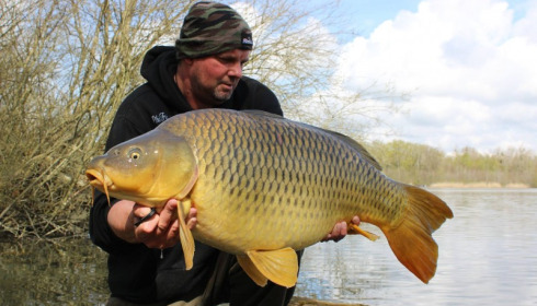 A carp from Brocard Large, Nick Burrage, Apr 2016