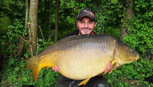 A carp from Brocard Large, May 2018