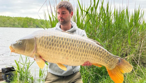 A carp from Brocard Large, May 2022