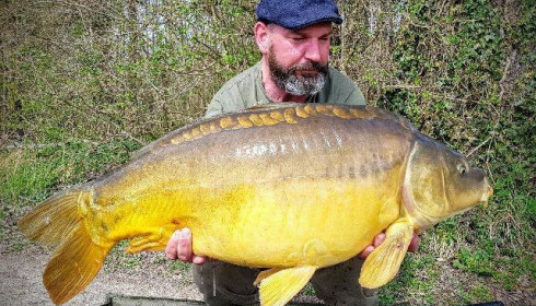 A carp from Brocard Large, Apr 2018